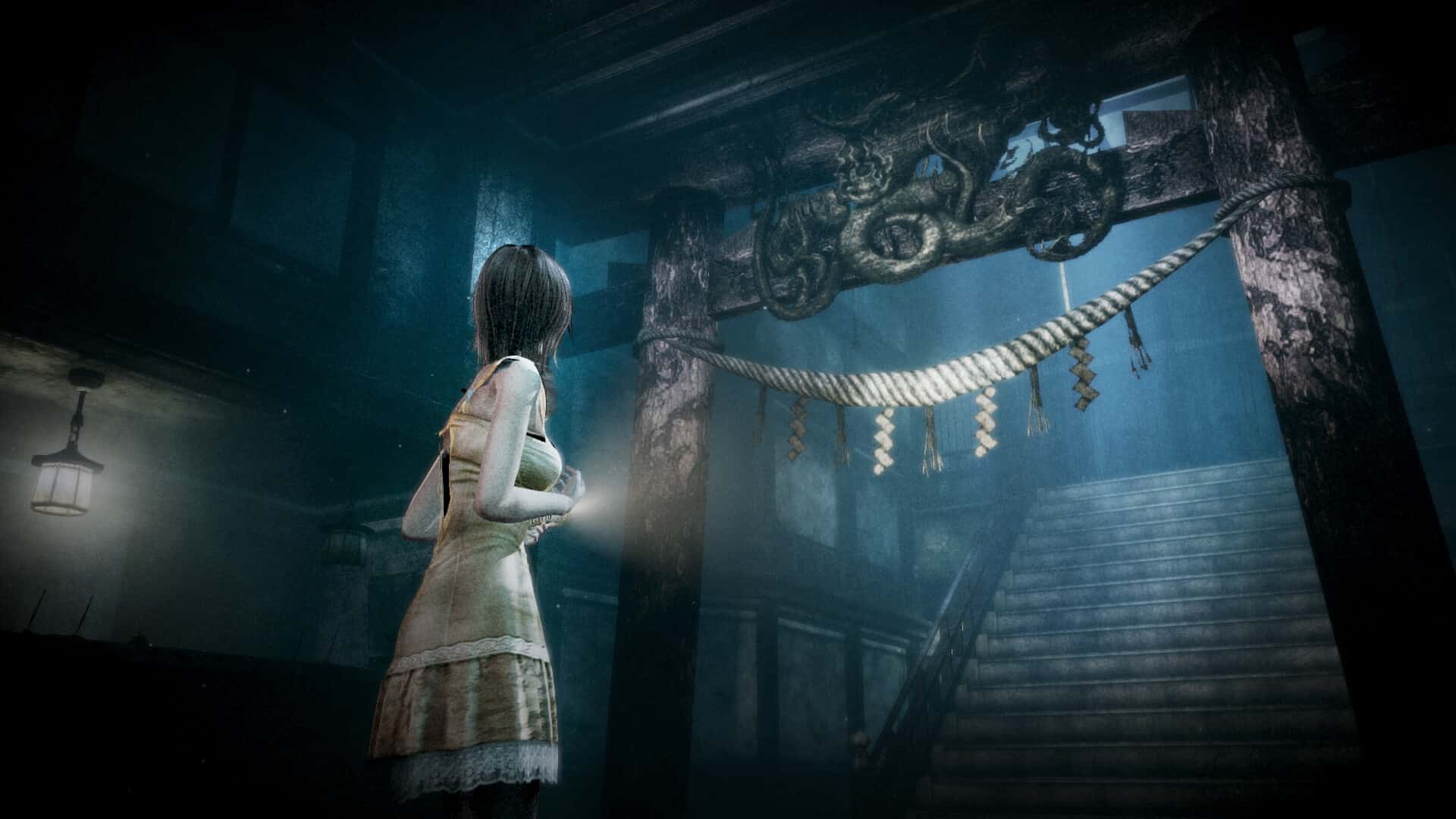 视觉数据4